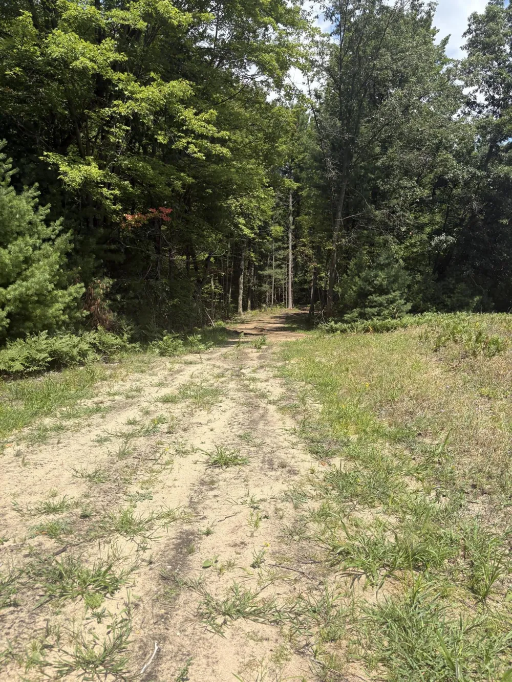 5 Mile Road Morley, MI 49336