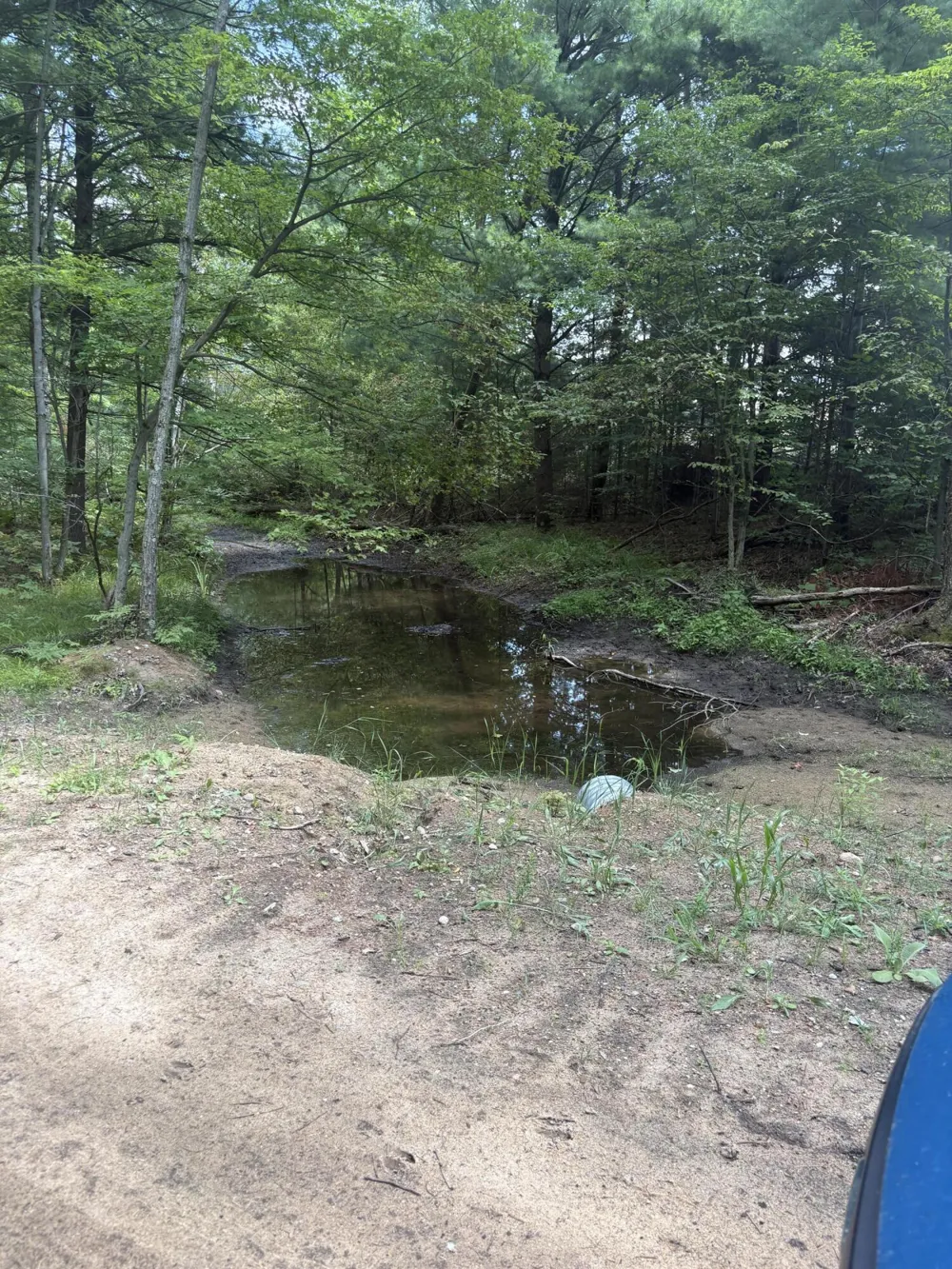 5 Mile Road Morley, MI 49336