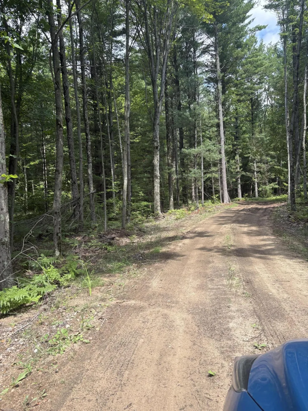 5 Mile Road Morley, MI 49336