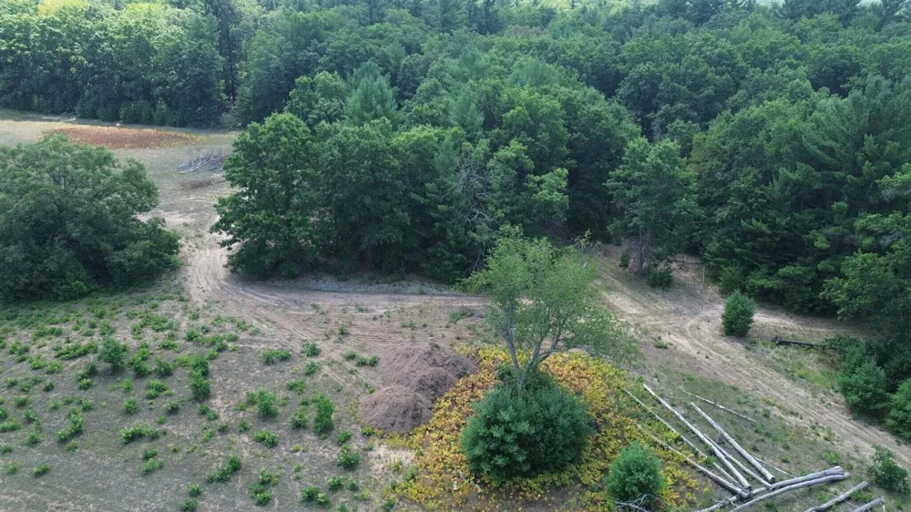 5 Mile Road Morley, MI 49336