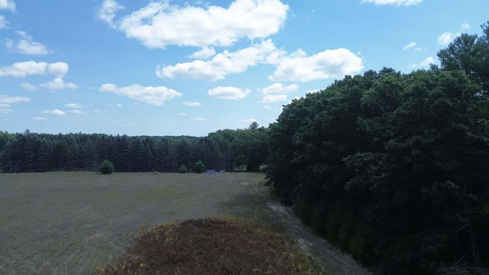 5 Mile Road Morley, MI 49336