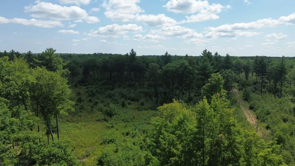 5 Mile Road Morley, MI 49336