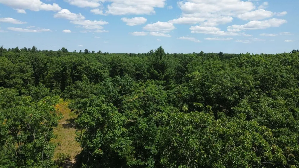5 Mile Road Morley, MI 49336