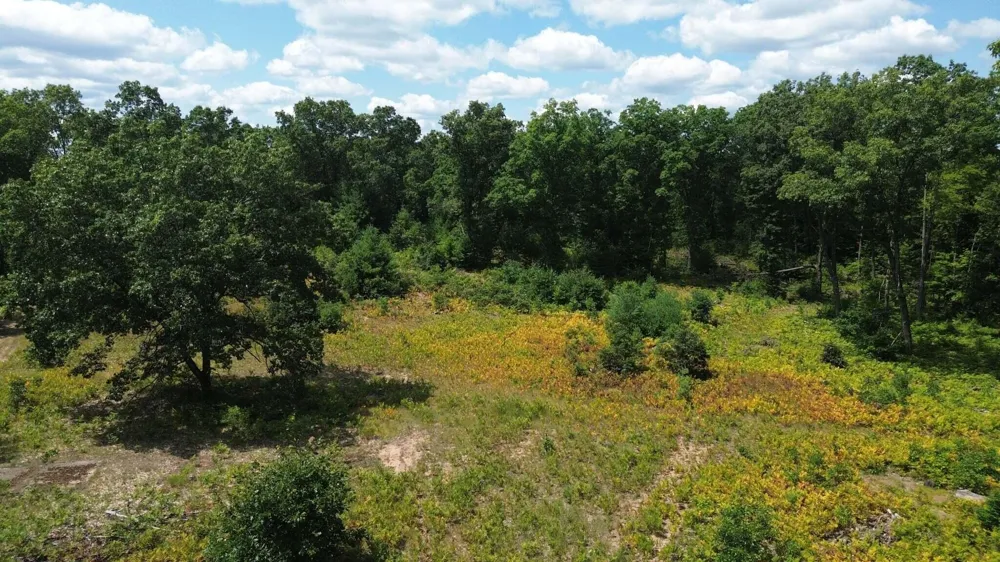 5 Mile Road Morley, MI 49336