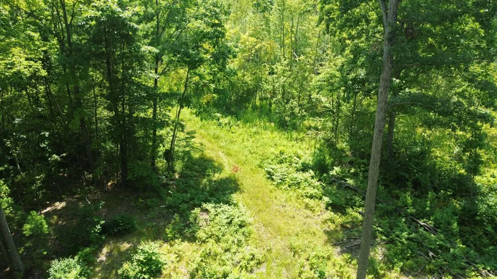 5 Mile Road Morley, MI 49336