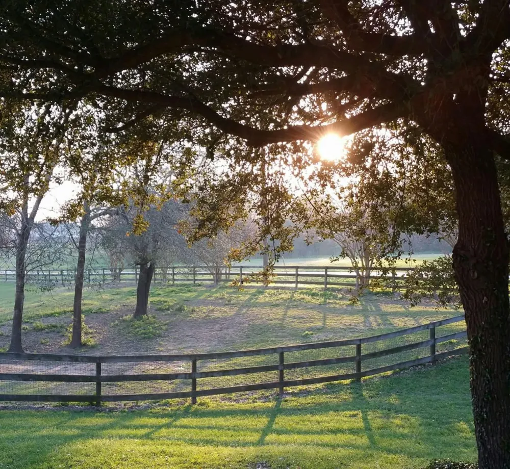 211 Brazos Hill Lane Sealy, TX 77474