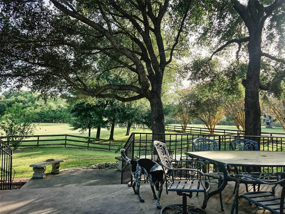 211 Brazos Hill Lane Sealy, TX 77474