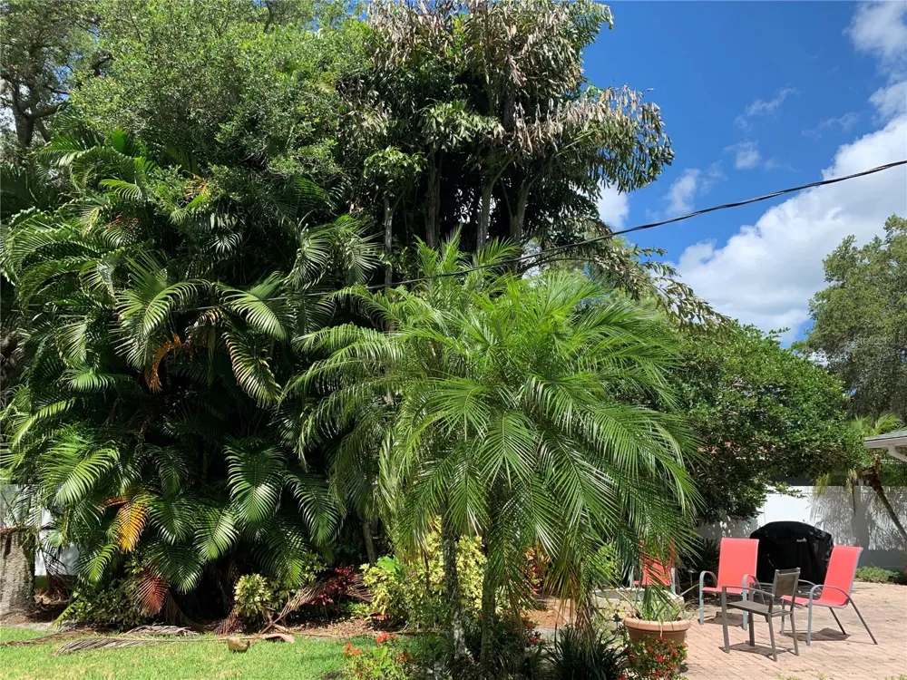 2436 WALDEMERE STREET Sarasota, FL 34239
