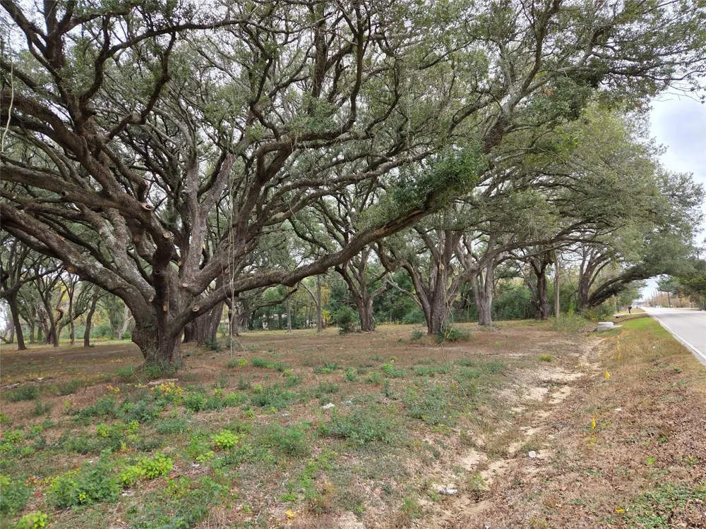 Runneburg Road Crosby, TX 77532