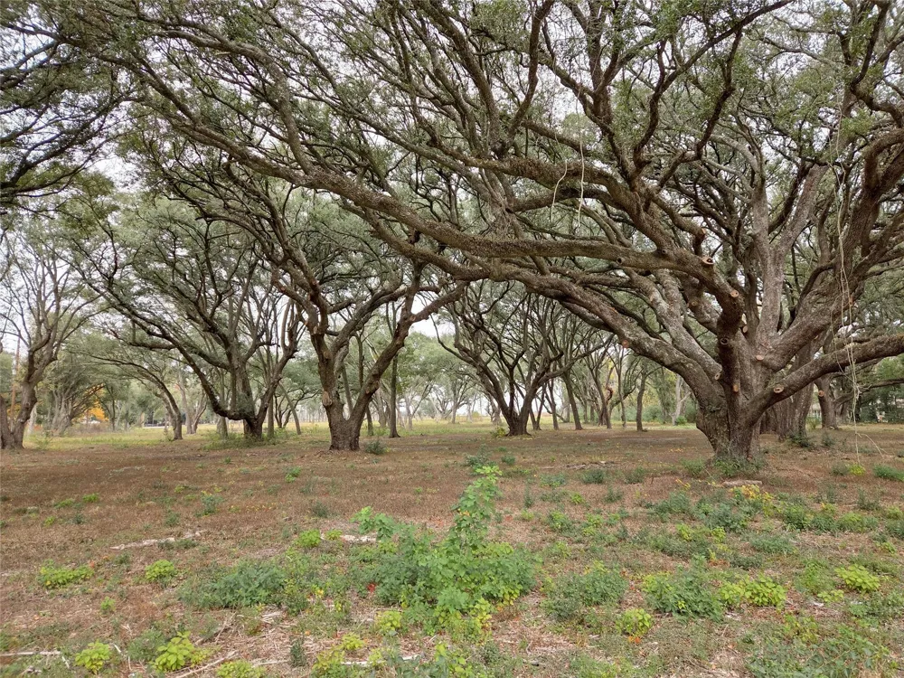 Runneburg Road Crosby, TX 77532