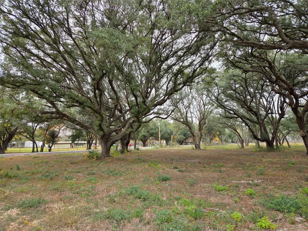 Runneburg Road Crosby, TX 77532