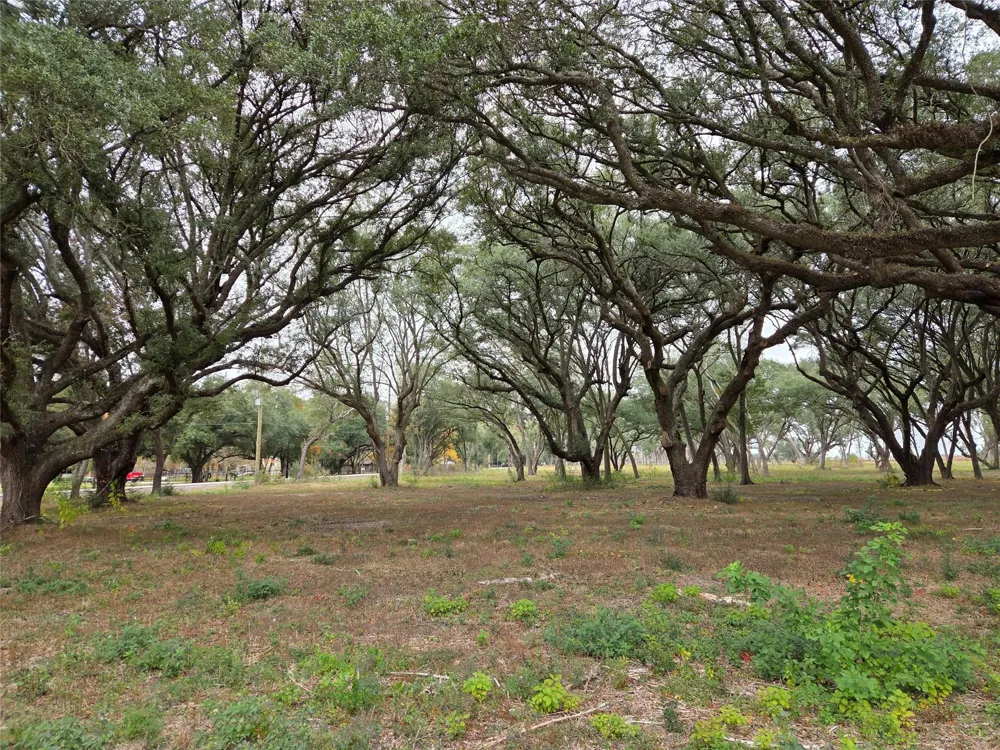 Runneburg Road Crosby, TX 77532