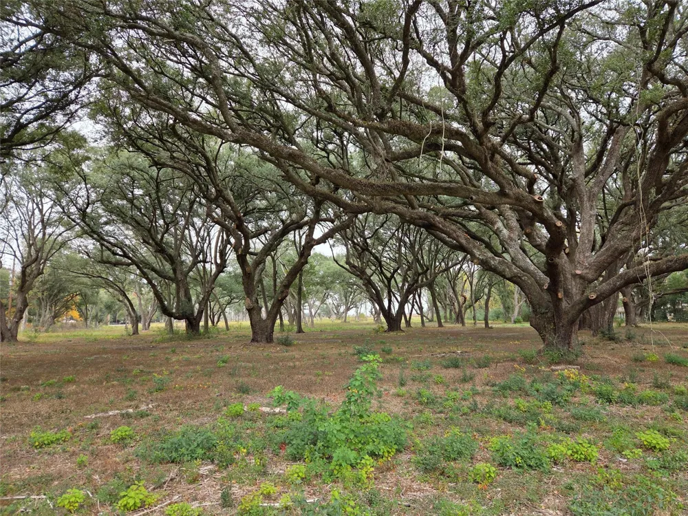 Runneburg Road Crosby, TX 77532