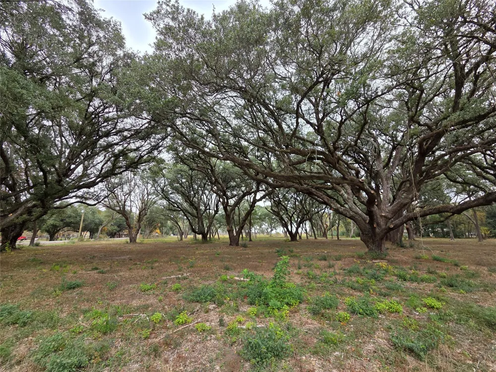 Runneburg Road Crosby, TX 77532