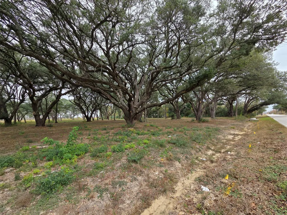 Runneburg Road Crosby, TX 77532