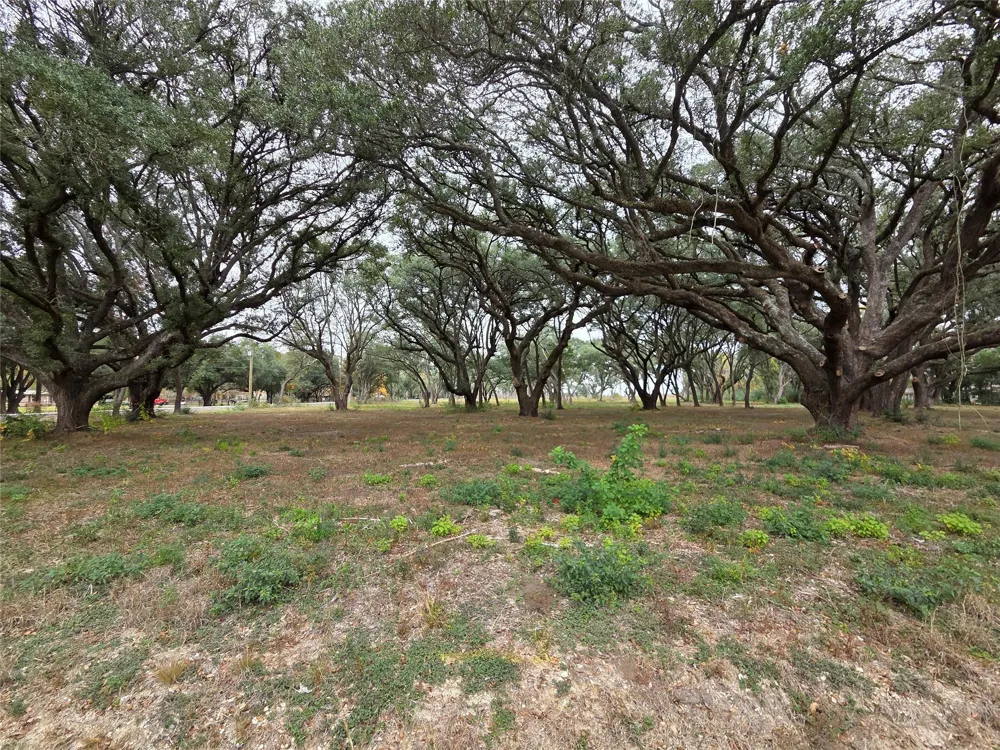 Runneburg Road Crosby, TX 77532
