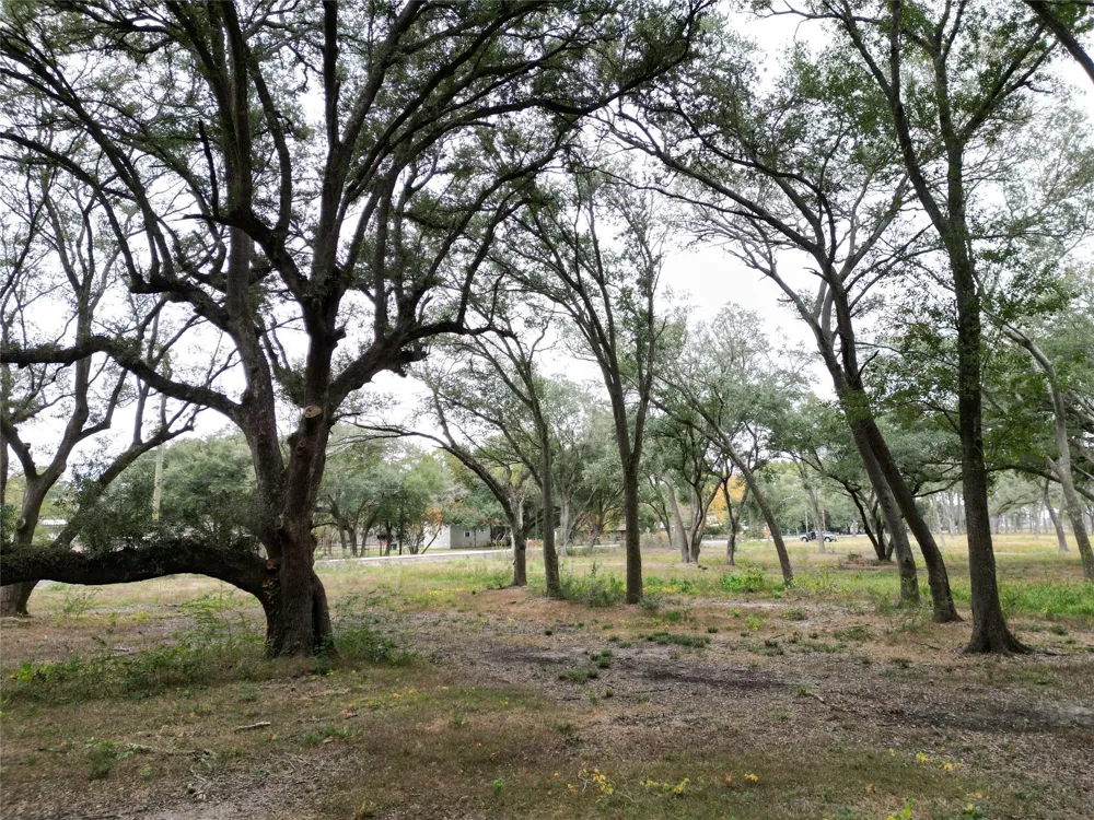 Runneburg Road Crosby, TX 77532