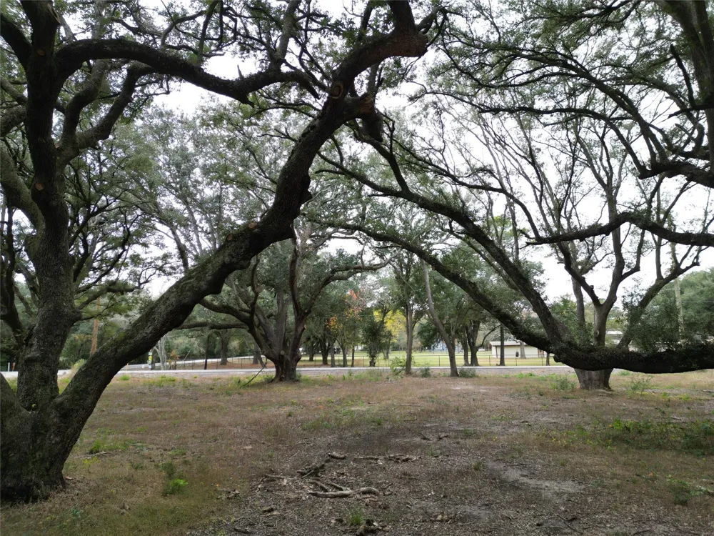 Runneburg Road Crosby, TX 77532