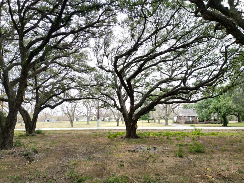 Runneburg Road Crosby, TX 77532