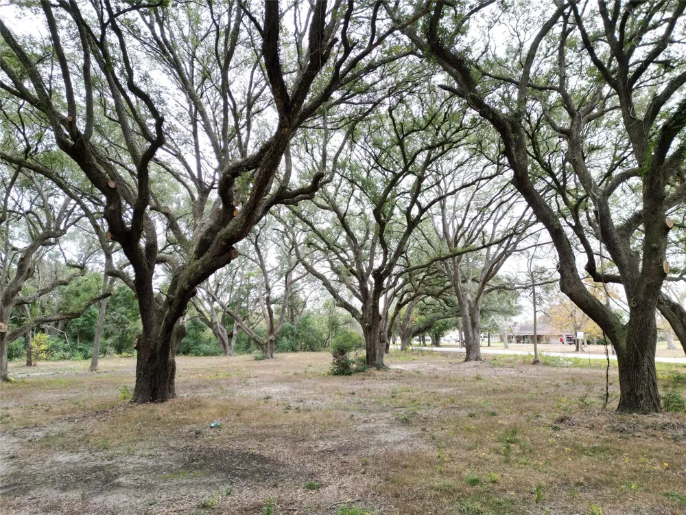 Runneburg Road Crosby, TX 77532