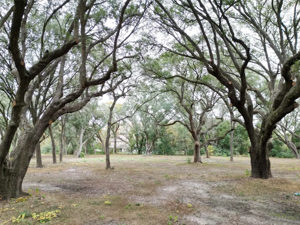 Runneburg Road Crosby, TX 77532