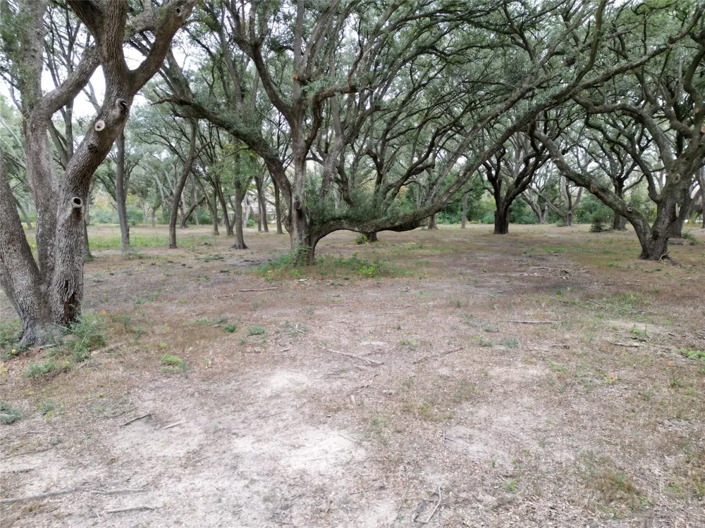Runneburg Road Crosby, TX 77532