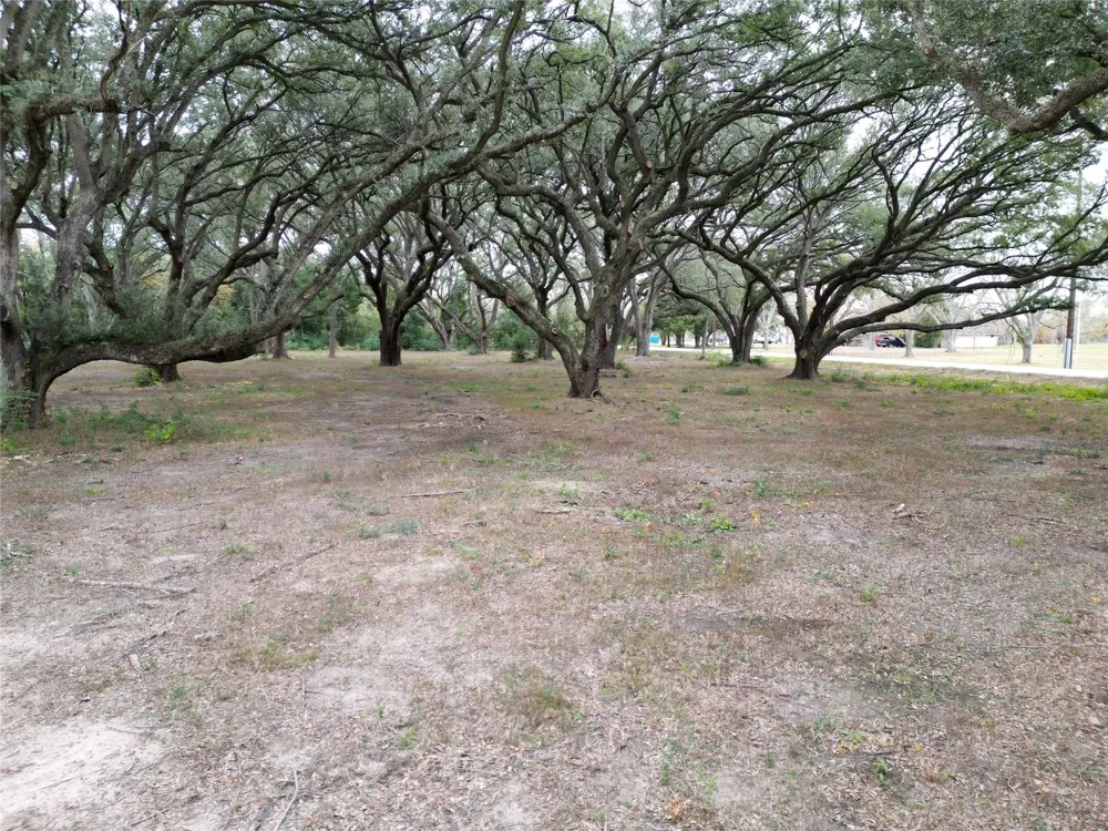 Runneburg Road Crosby, TX 77532