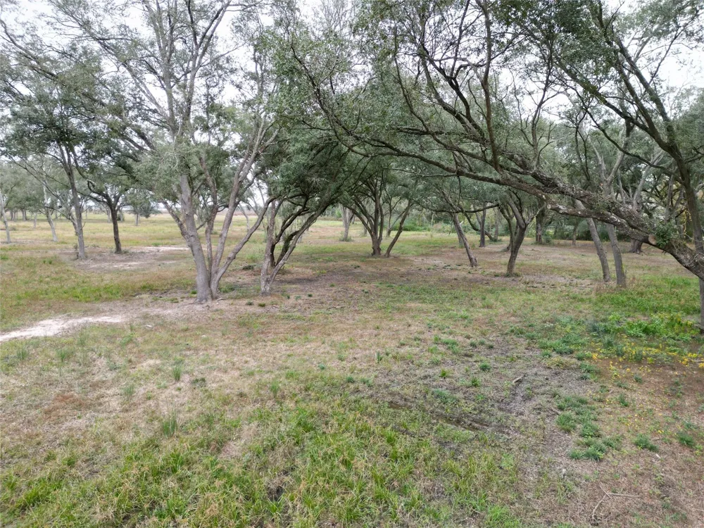 Runneburg Road Crosby, TX 77532
