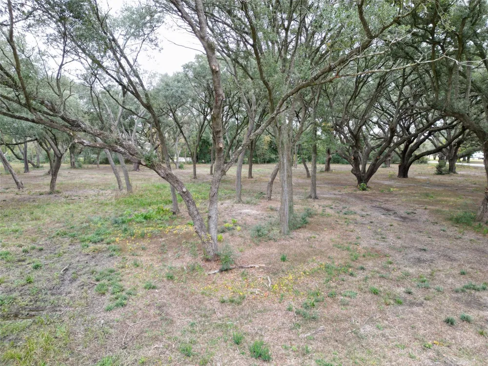 Runneburg Road Crosby, TX 77532