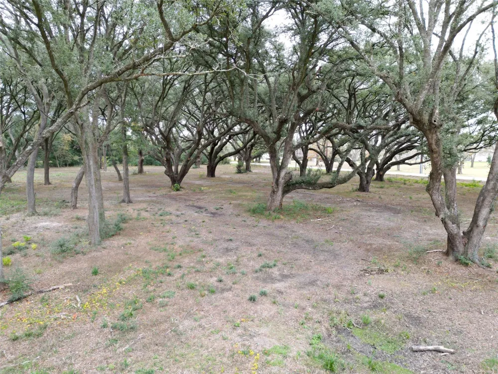 Runneburg Road Crosby, TX 77532