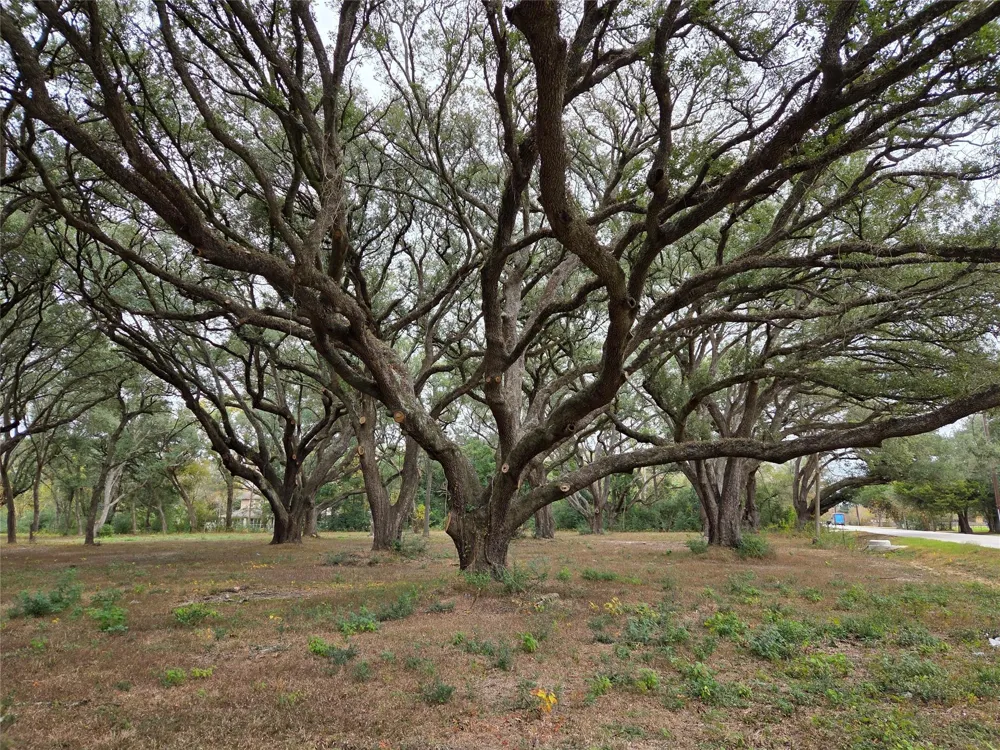 Runneburg Road Crosby, TX 77532
