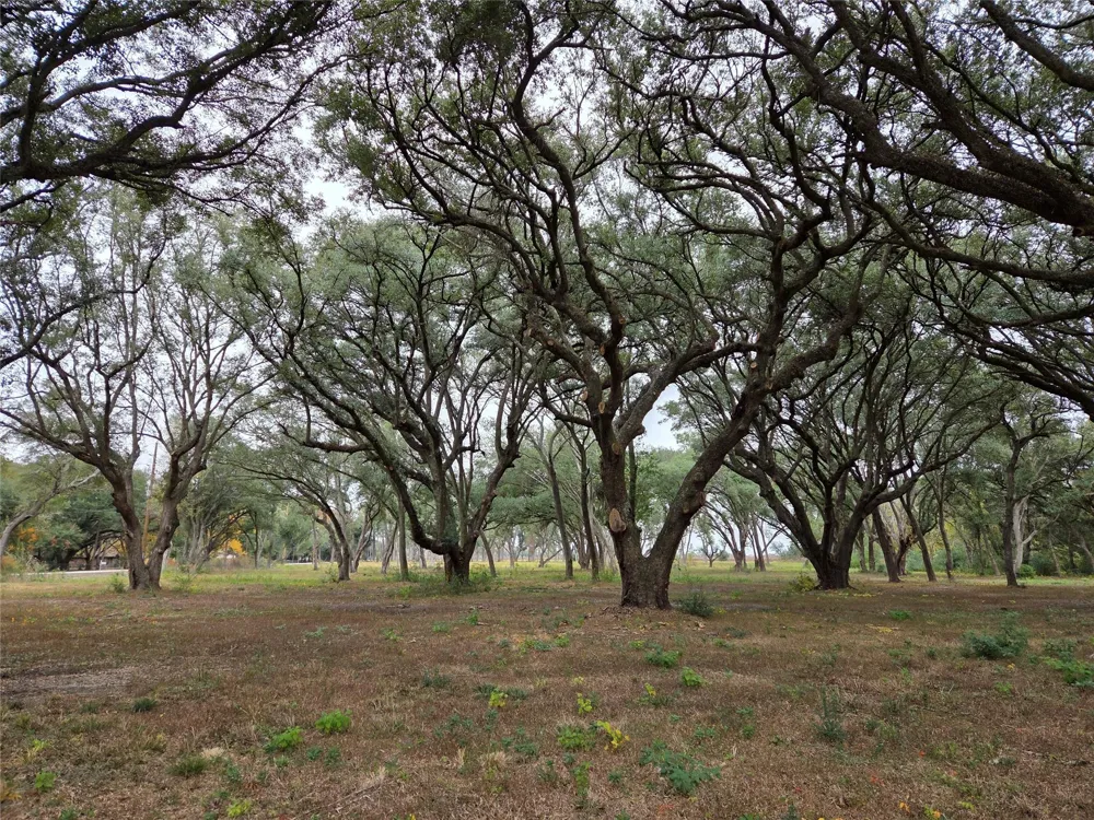 Runneburg Road Crosby, TX 77532