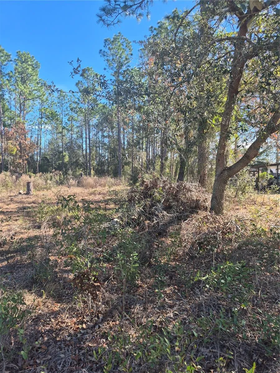 SE 87 TER Belleview, FL 34420