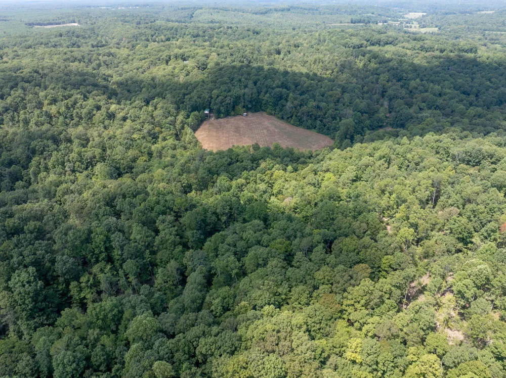 7422 Indian Creek Rd Mc Ewen, TN 37101