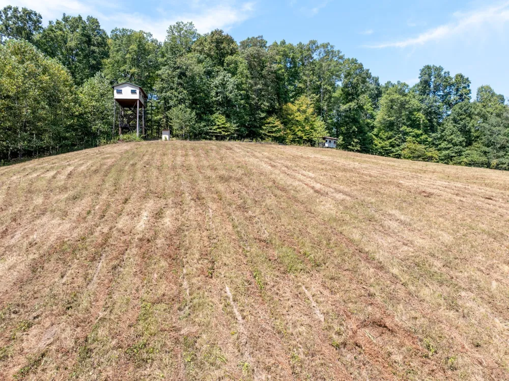7422 Indian Creek Rd Mc Ewen, TN 37101