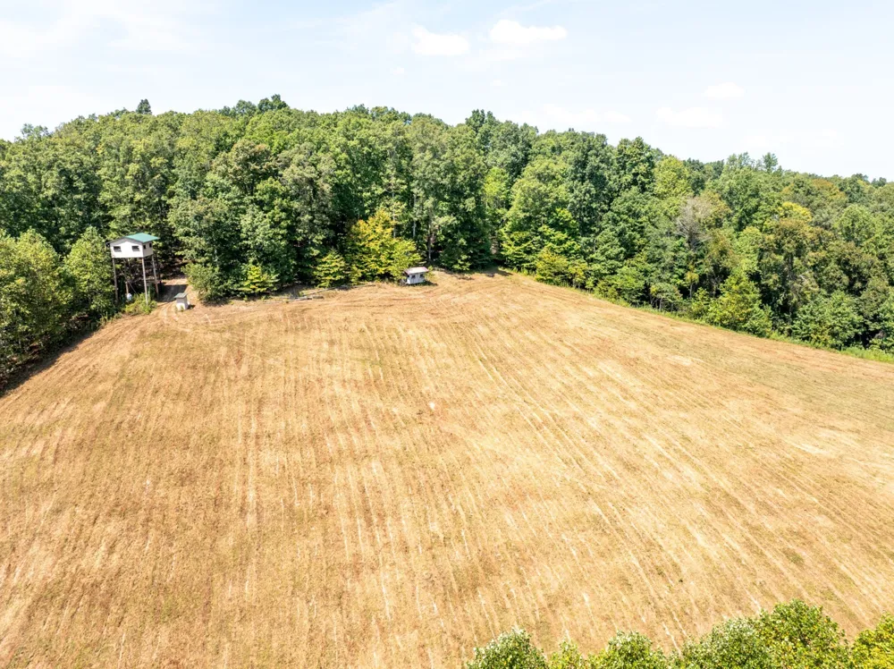7422 Indian Creek Rd Mc Ewen, TN 37101