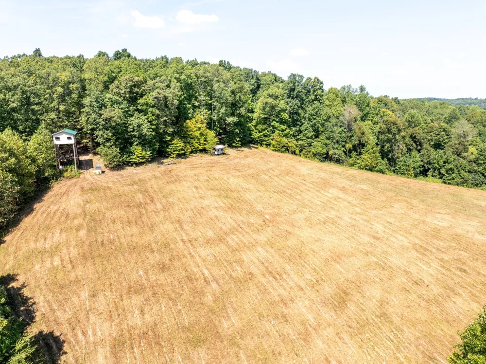 7422 Indian Creek Rd Mc Ewen, TN 37101