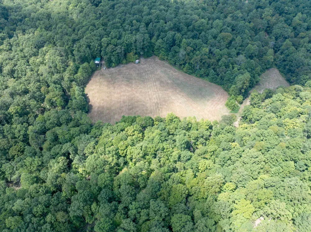 7422 Indian Creek Rd Mc Ewen, TN 37101
