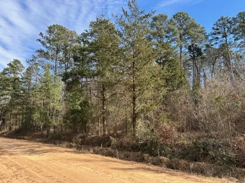 Moss Creek Road