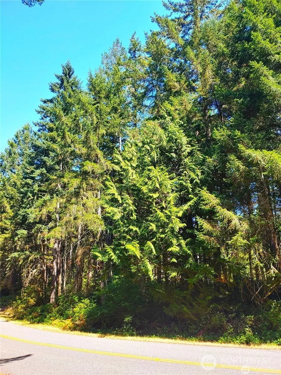 11511 Lake Josephine Boulevard Anderson Island, WA 98303