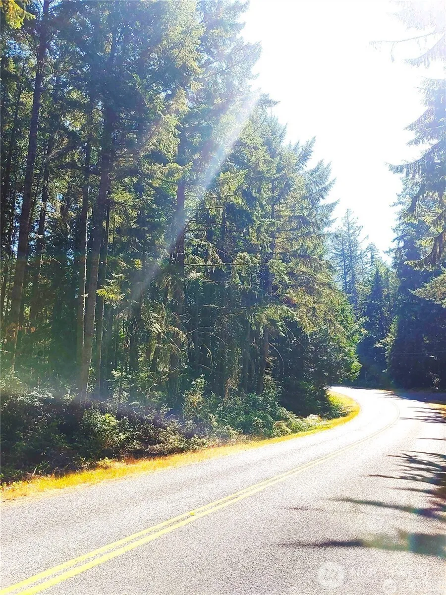 11511 Lake Josephine Boulevard Anderson Island, WA 98303