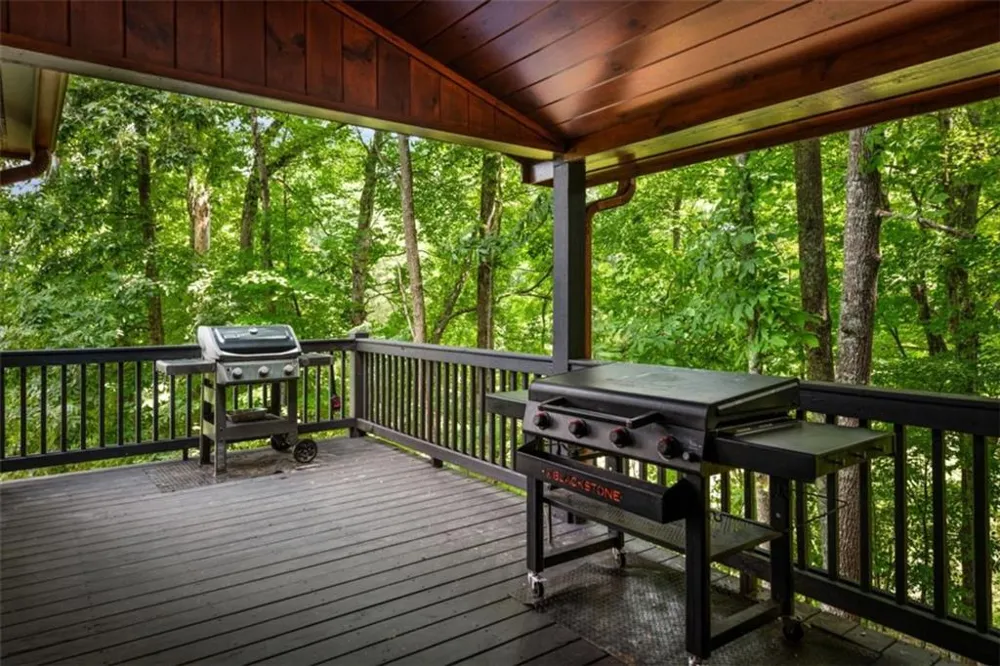 1571 W Campbell Camp Road W Blue Ridge, GA 30513