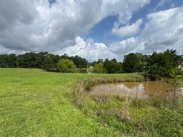 37 Silver Lakes Drive Huntsville, TX 77340
