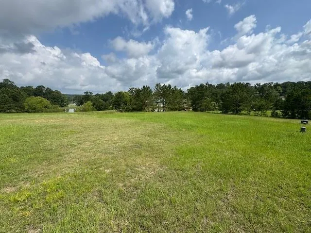 37 Silver Lakes Drive Huntsville, TX 77340