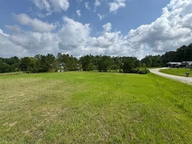 37 Silver Lakes Drive Huntsville, TX 77340