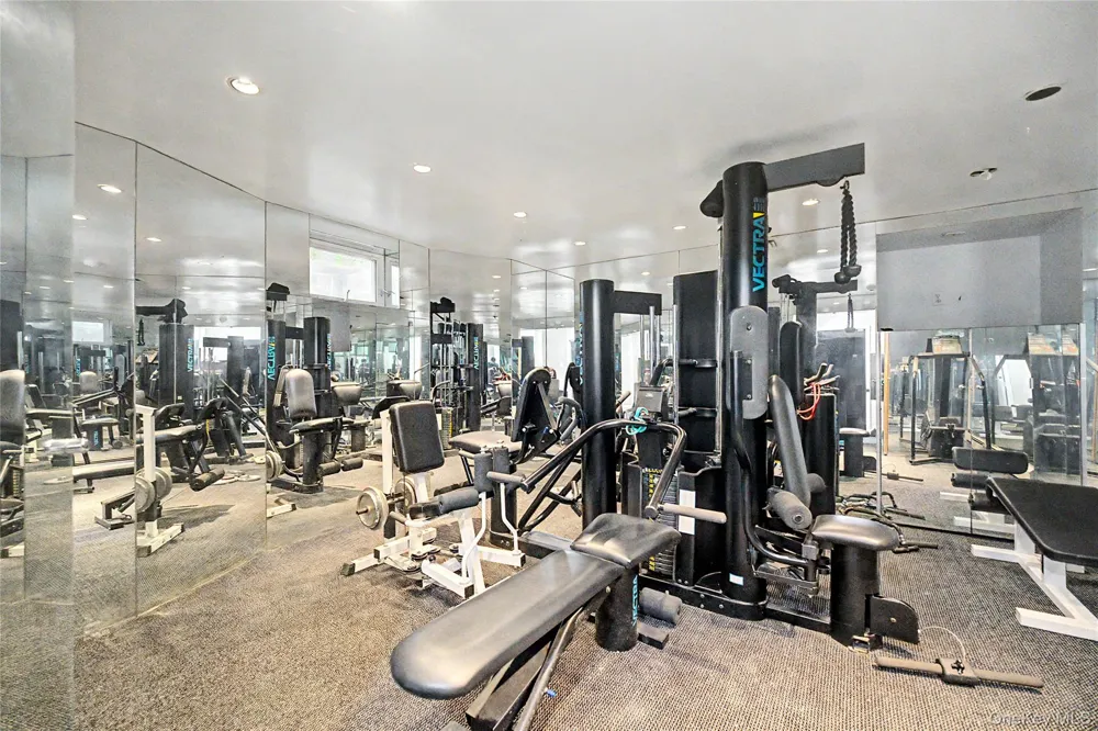 6 The Maples Roslyn Estates, NY 11576
