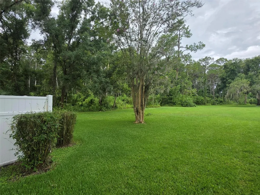 1781 SAMURAI POINT #P9 Lutz, FL 33558