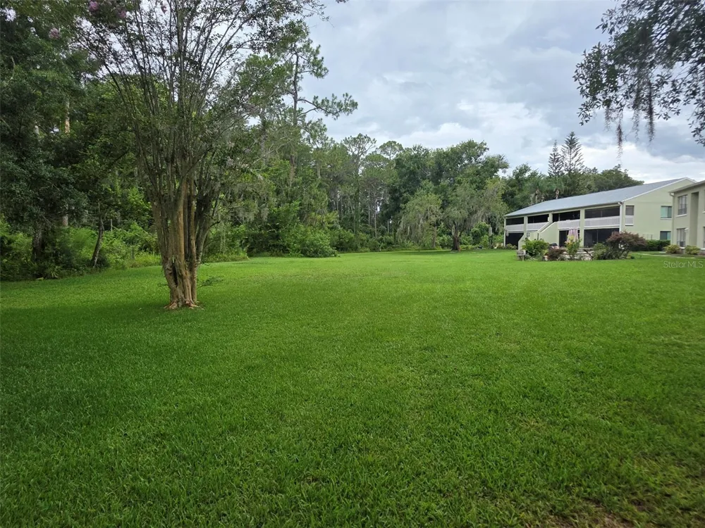 1781 SAMURAI POINT #P9 Lutz, FL 33558