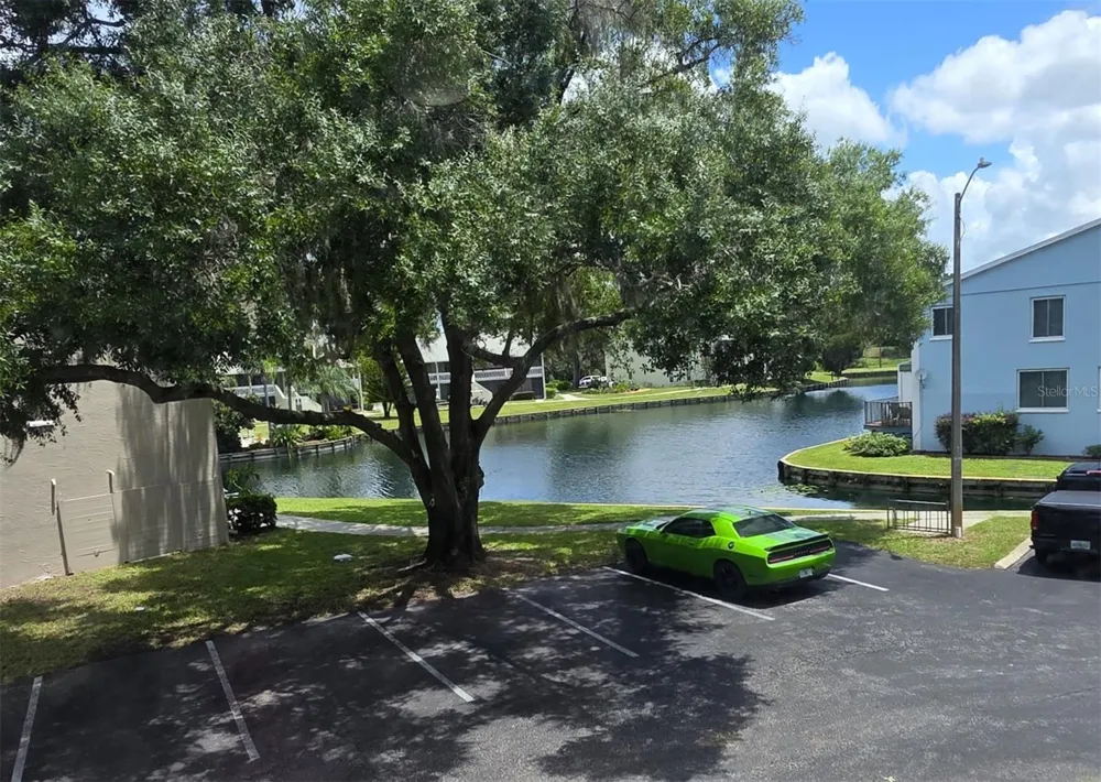 1781 SAMURAI POINT #P9 Lutz, FL 33558