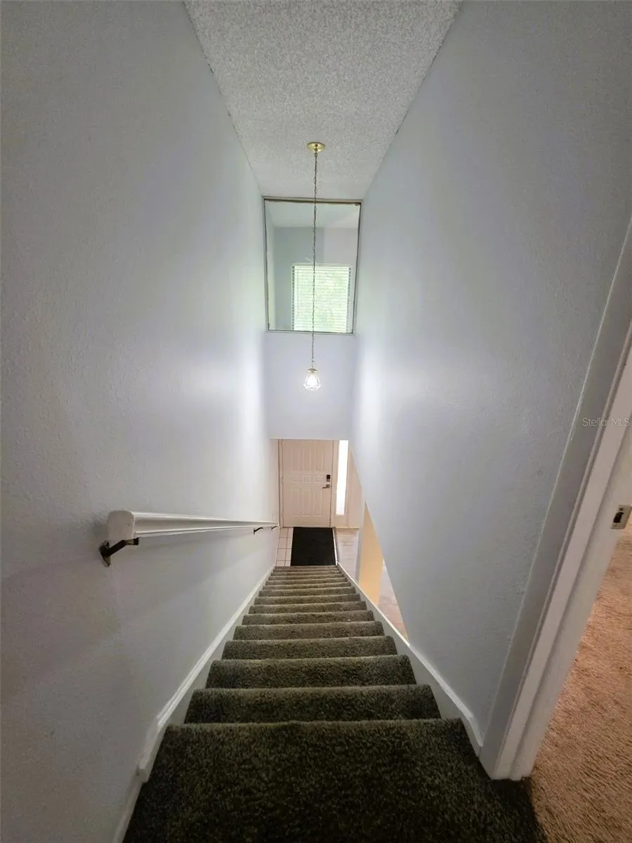 1781 SAMURAI POINT #P9 Lutz, FL 33558